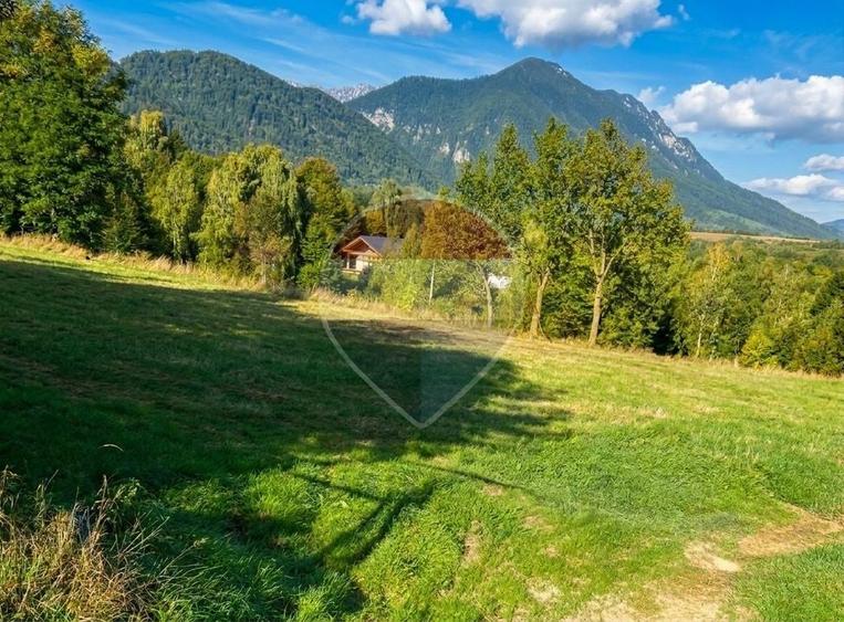 Teren Construcții intravilan de 1500 mp, în Tohănița