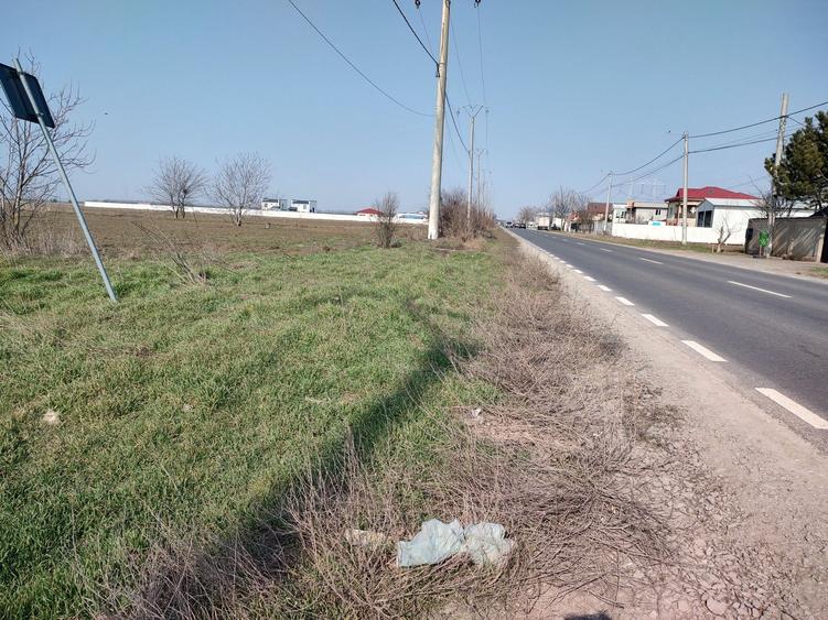 Teren de 5000 mp, în Frumușani