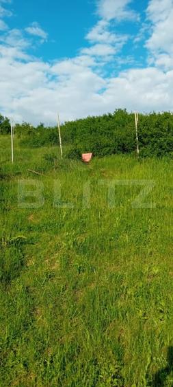 Teren agricol extravilan de 490 mp, în Bucium