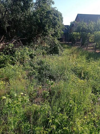 De vanzare teren intravilan in comuna Gurahon?. - 5