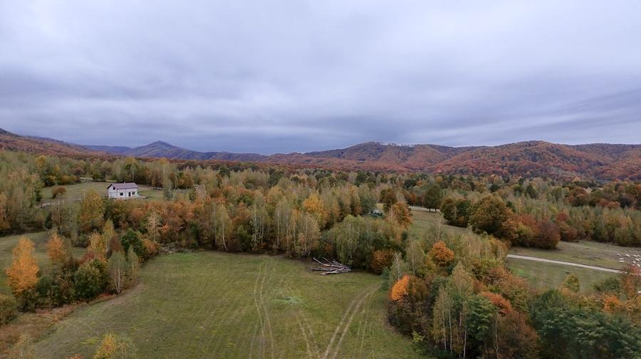 Teren agricol extravilan de 2652 mp, în Șinca Nouă
