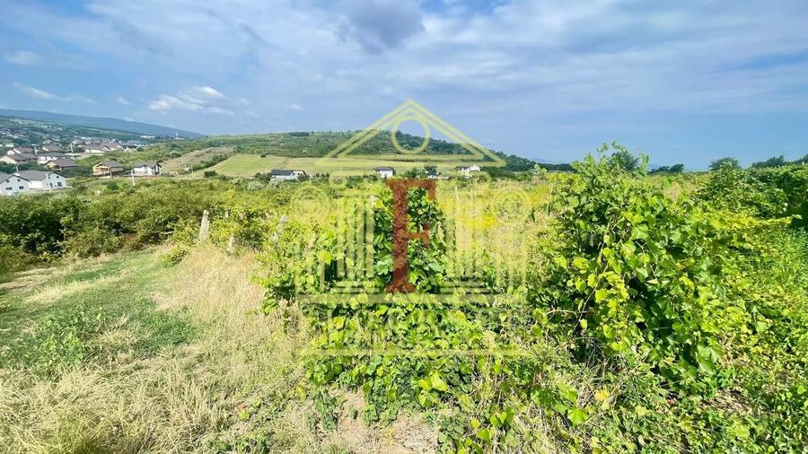 Teren Construcții intravilan de 7500 mp, în Tomești