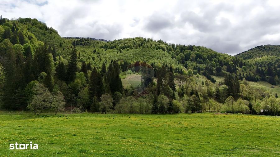 Teren de 48297 mp, în Rucăr