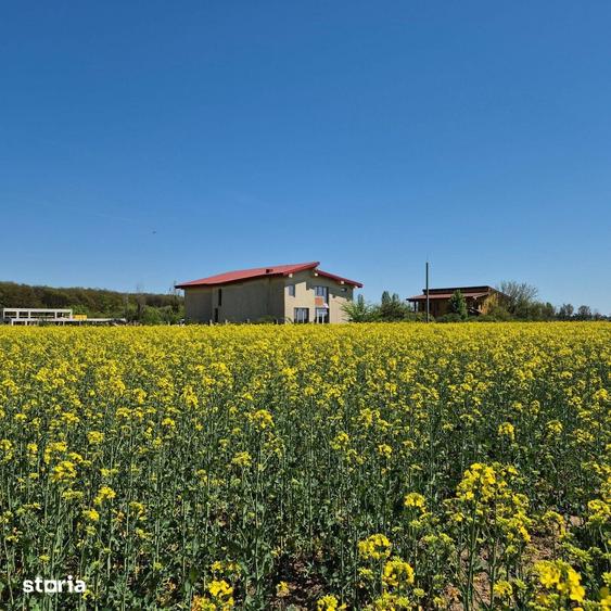 Teren de 5000 mp, în Ciolpani
