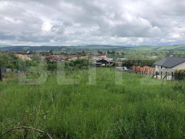 Teren Construcții intravilan de 10656 mp, în Nord
