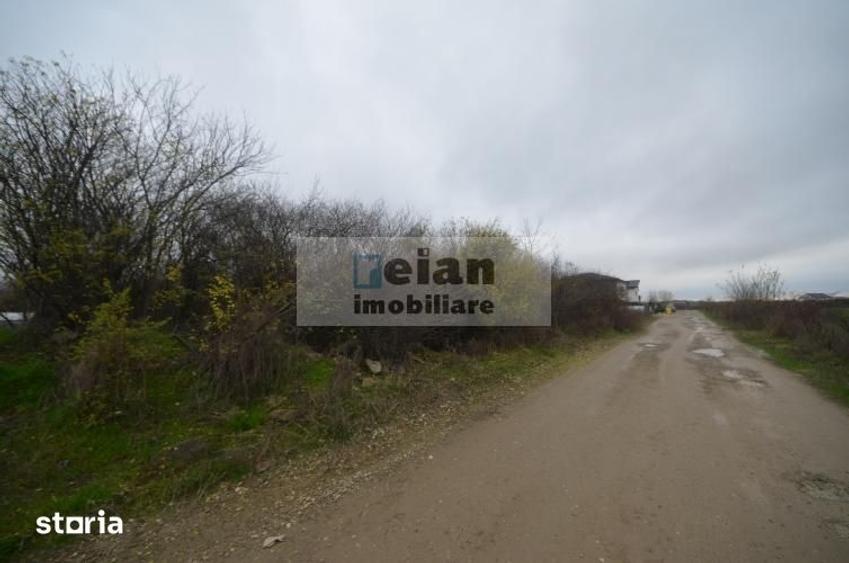 Teren de 3000 mp, în Mogoșoaia