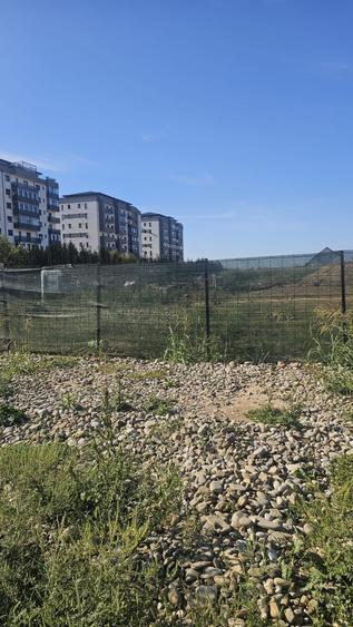 Teren Construcții intravilan de 5000 mp, în Dobroești