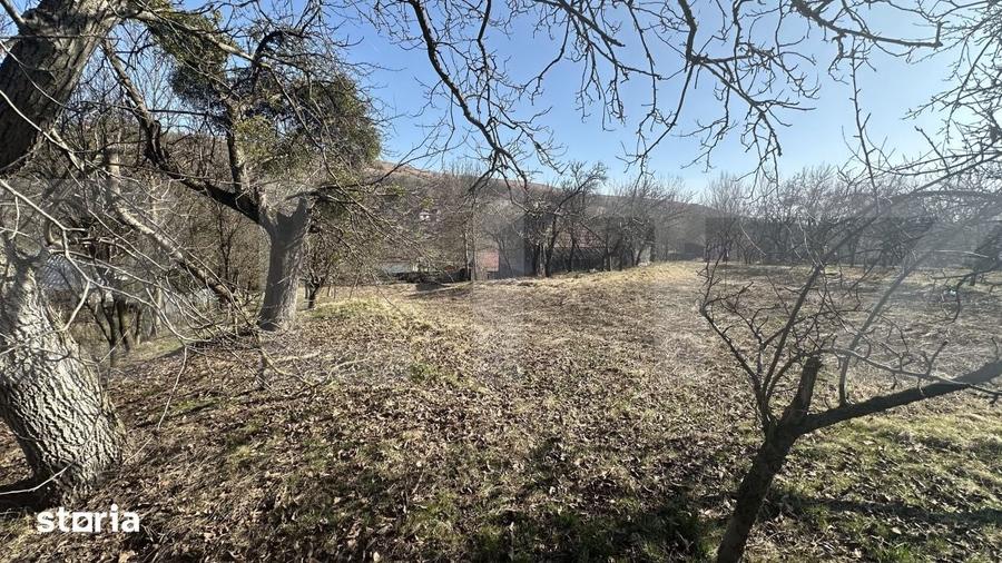 Teren de 1700 mp, în Feleacu