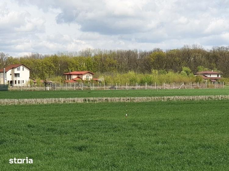 Teren Balotesti, vecinatate padure Sri,19500 euro - 2