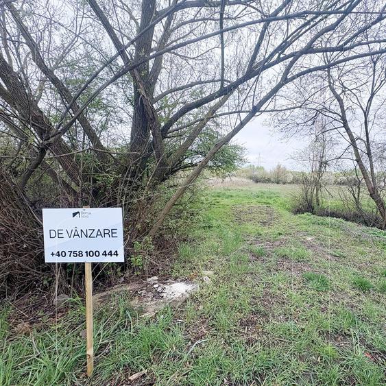 Teren extravilan de 2842 mp, în Ghiroda