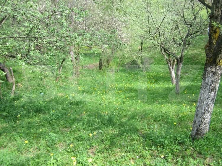 Teren Construcții intravilan de 884 mp, în Fieni