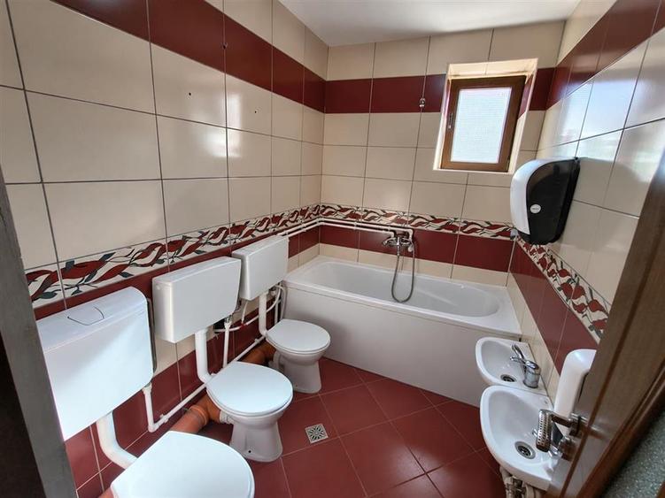 Birou, de 192 mp, în Turnișor