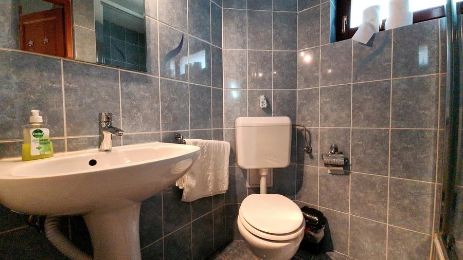 Casă individuală cu 6 camere cu Canalizare în Dobârlău