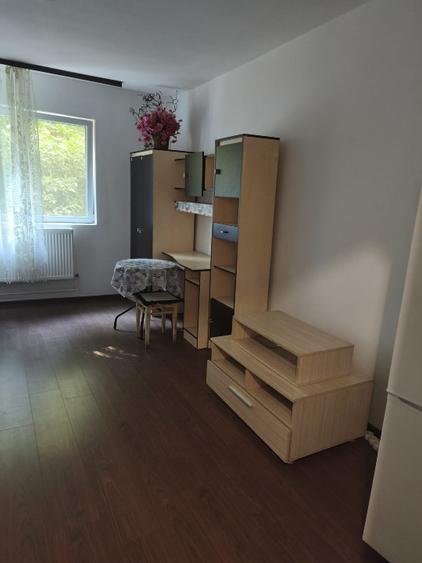 Garsonieră decomandată în Buziașului