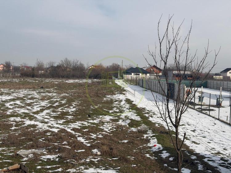 Teren Construcții intravilan de 2500 mp, în Malu Mare