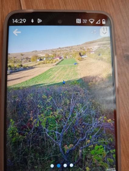 Teren de 7500 mp, în Ciucurova