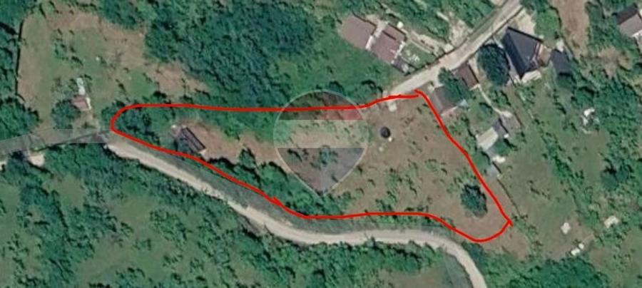 Teren Construcții intravilan de 5474 mp, în Provița de Jos