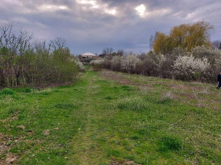 Teren Topoloveni - 3670 mp - langa padure, aproape de Centrul orasului - 3