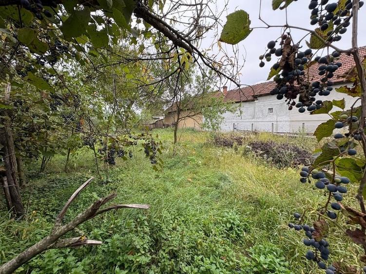 Casă cu 3 camere în Sântandrei