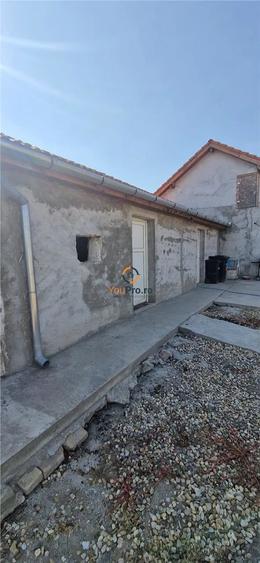 Casă cu Teren 2656 Mp în Cenei