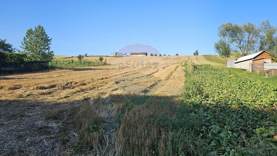 Teren Construcții intravilan de 7500 mp, în Moara Carp