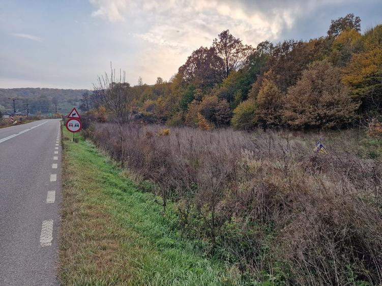 Teren agricol extravilan de 1717 mp, în Mărgineni