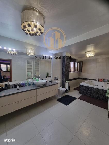 Casă cu 5 camere cu Teren 7500 Mp în Ciolpani