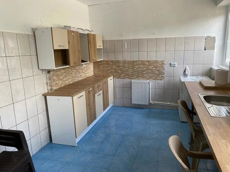 Casă cu 6 camere în Buziașului