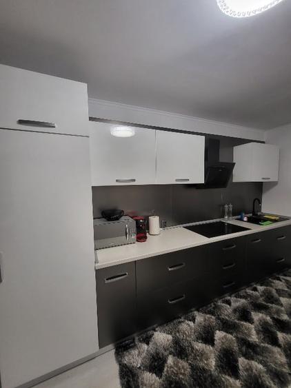 Apartament cu 2 camere decomandat, mobilat în Halânga