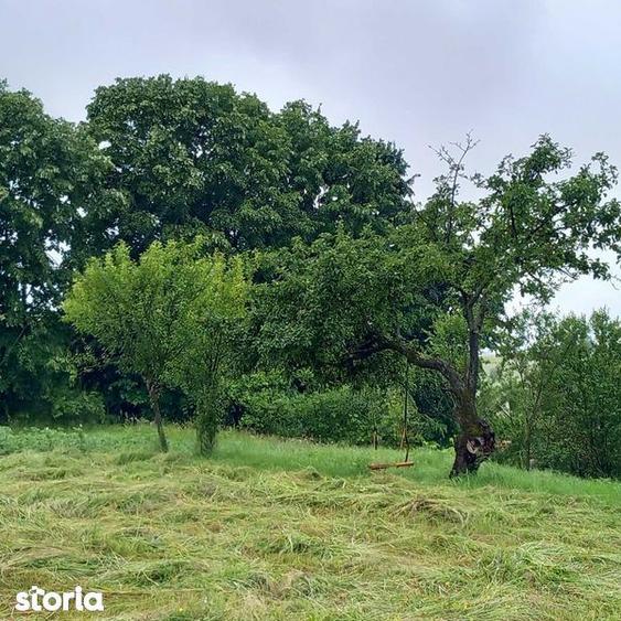 Teren de 5754 mp, în Ohaba Lungă