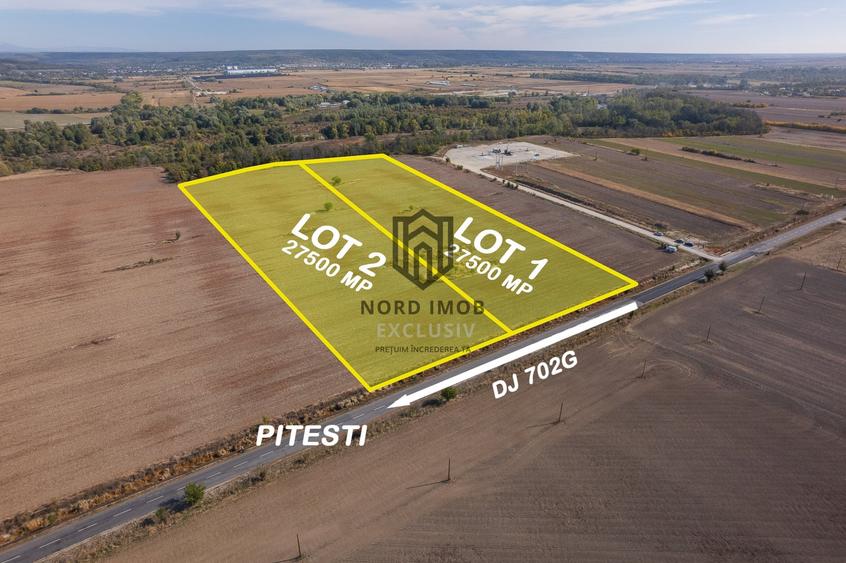 Teren agricol extravilan de 55000 mp, în Căteasca