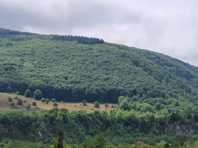 Teren de 100000 mp, în Bălnaca
