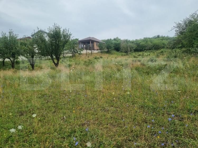 Teren Construcții intravilan de 4000 mp, în Sud-Vest