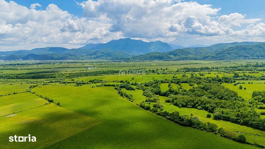 Teren de 5800 mp, în Central