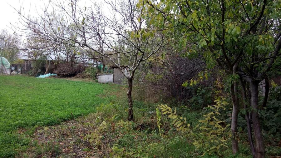 Casă individuală cu 3 camere cu Teren 1876 Mp în Vest