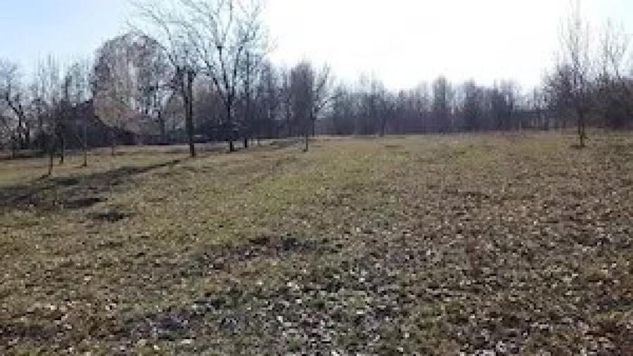 Teren de 2800 mp, în Ștubeiu
