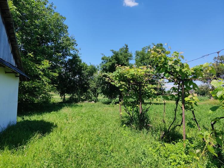 Casă individuală cu 3 camere cu Teren 9603 Mp în Grumăzești
