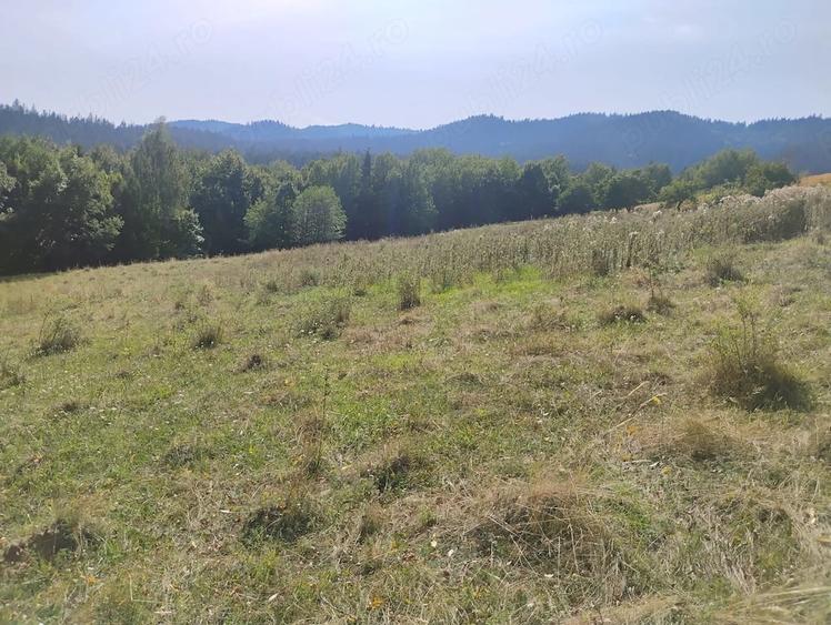 Teren de 10800 mp, în Văratec