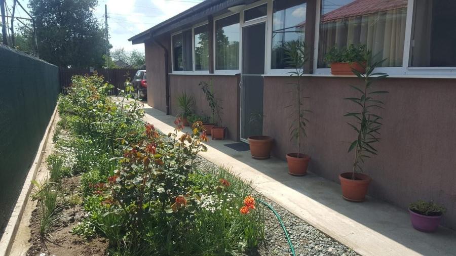 Casă cu 3 camere cu Teren 1800 Mp în Ion Ghica
