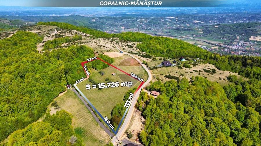 Teren agricol extravilan de 15726 mp, în Preluca Nouă