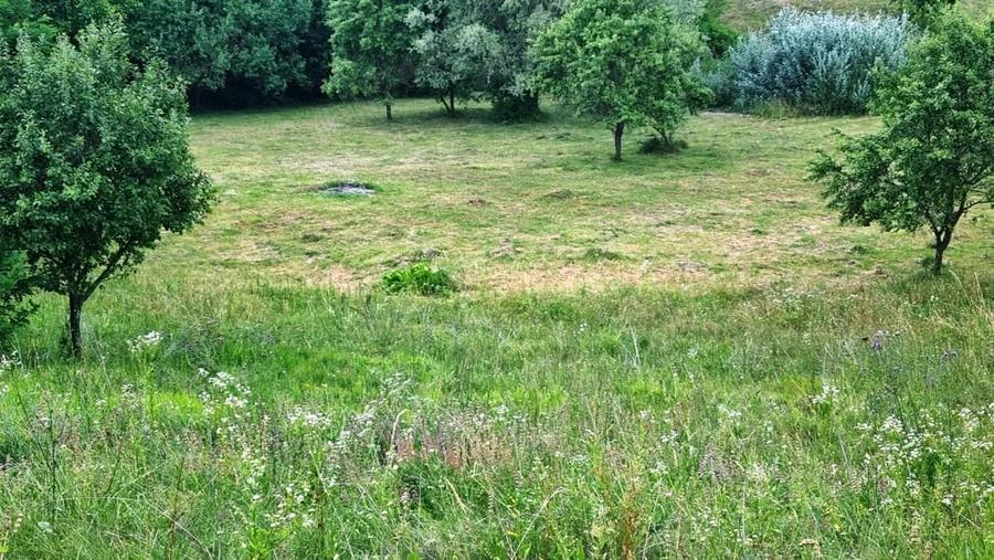 Teren de 5700 mp, în Central