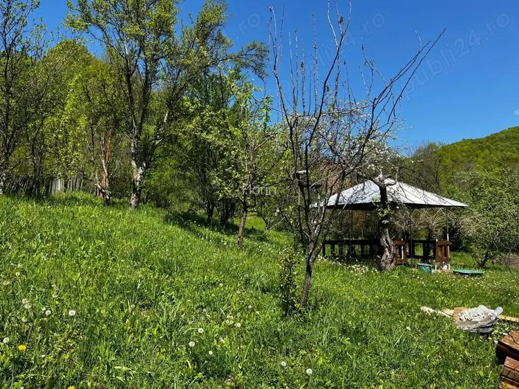 vand teren langa padure Cosmina de Sus jud Prahova toate utilita?ile