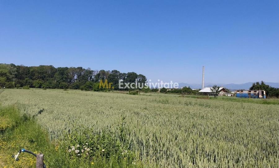 Teren agricol intravilan de 10294 mp, în Sud
