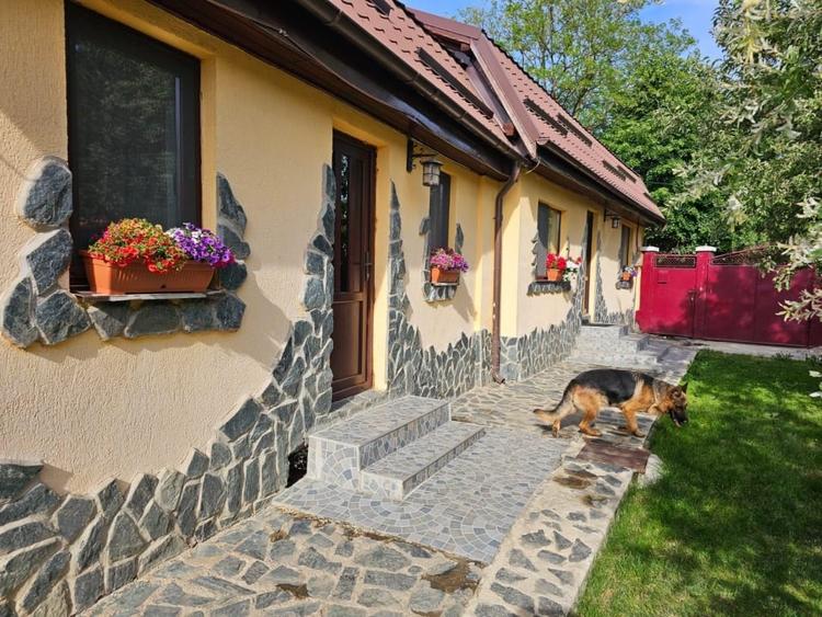 Casă individuală cu 3 camere cu Teren 2300 Mp în Nord-Est