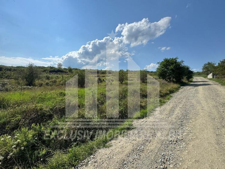 Teren Construcții intravilan de 4662 mp, în Cetate