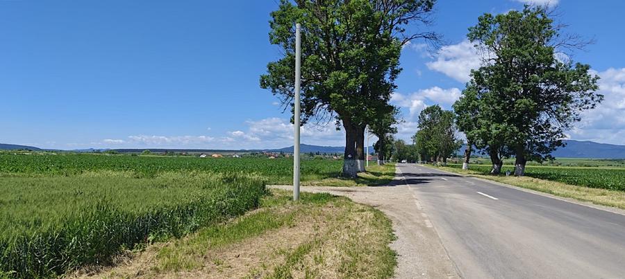 Terenuri de vânzare Hălchiu, Brașov, zonă de case noi. - 4