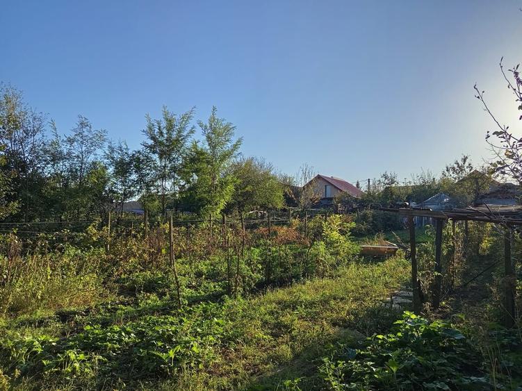 Casă cu 3 camere în Central