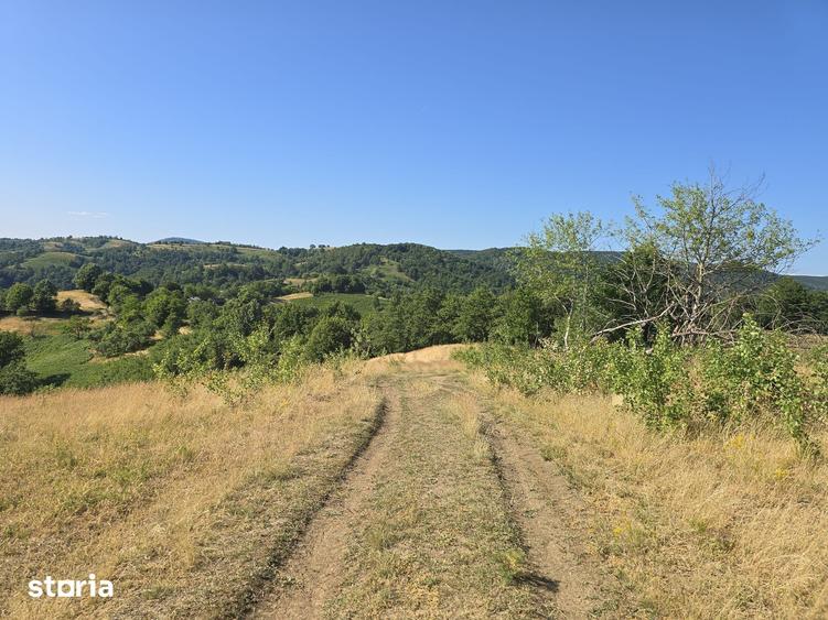 Teren de 150000 mp, în Cerbăl