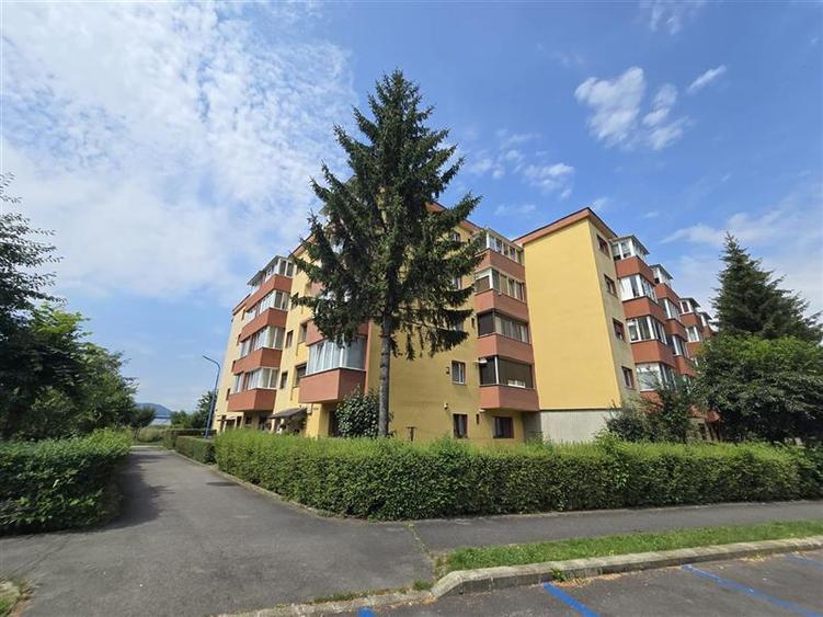 Apartament cu 2 camere decomandat în Triaj