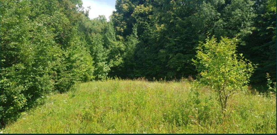 Teren Construcții intravilan de 17000 mp, în Doftana